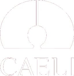 Hotel Caeli